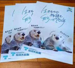 鳥羽水族館⭐️⭐️ポスター⭐️ラッコ⭐️メイ⭐️キラ 鳥羽水族館オリジナル写真集「ラッコのメイとキラ」3月19日より