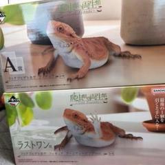【動物の惑星】フトアゴトカゲ ホワイトplus/ ラストワン賞! フィギュア 一番くじ 爬虫類＆両生類 ラストワン賞 フトアゴヒゲトカゲ