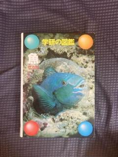 【匿名配送•美品】学研の図鑑 魚