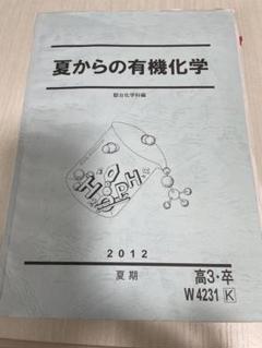 【値下げ可】深く学べる有機化学 2024年度　駿台 2025年最新】化学特講 有機の人気アイテム - メルカリ