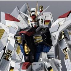 G FRAME FA マイティーストライクフリーダムガンダム&オプション