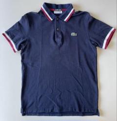2025年最新】ラコステ lacoste exclusiveの人気アイテム - メルカリ