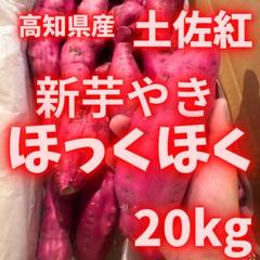 新芋　サツマイモ　おすすめ　芋　08 chokuhan_imo-kint-new02