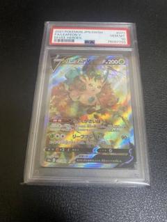 2025年最新】リーフィアv sr psa10の人気アイテム - メルカリ