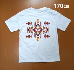 170㎝ 半袖 Tシャツ