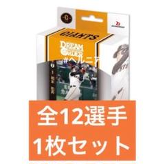 ドリームオーダー　巨人　中川晧太SP5枚セット 2025年最新】中川皓太 ドリームオーダーの人気アイテム - メルカリ