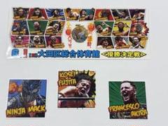 激レア新品非売品】新日本プロレス BOSJ来場限定&“初優勝”藤田