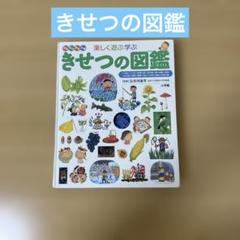 楽しく遊ぶ学ぶ きせつの図鑑