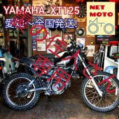 裏の住人さん専用　XT125 　ストリートオフカスタムバイク★愛知~全国発送！のサムネイル