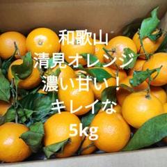 和歌山　清見　オレンジ　濃い　甘い　5kg　変更　そら豆3kg追加 和歌山 清見 オレンジ 濃い甘い 5kg 変更 3kgプラスそら豆2kg
