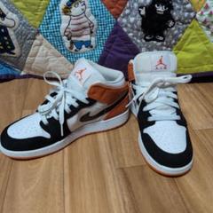 NIKE　エア・ジョーダン1　DQ8390-100 25.0cm