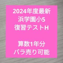 2024年度最新 浜学園小5　復習テストH　算数1年分　バラ売り可能