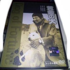 黄金の犬 DVD BOX ゲオ公式通販サイト/ゲオオンラインストア【中古】黄金の犬 BOX