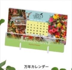 【限定受注生産】ミセス大森元貴 French アクリルプレート Mrs. GREEN APPLE 大森元貴 French アクリルプレート - メルカリ