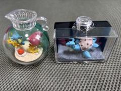 ポケモン リーメント フィギュア ラプラス タッツー ラブカスのサムネイル