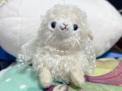 カリブのベイビーアルパカッソ　アルパカキーホルダー　ぬいぐるみ　全４種 2025年最新】ベイビーアルパカッソ ぬいぐるみの人気アイテム