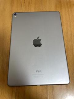 iPad - iPad Pro9.7 32GB ジャンク Apple iPad Pro (9.7-inch) A1673 32 GB, Wi-Fi, 9.7 in - Space