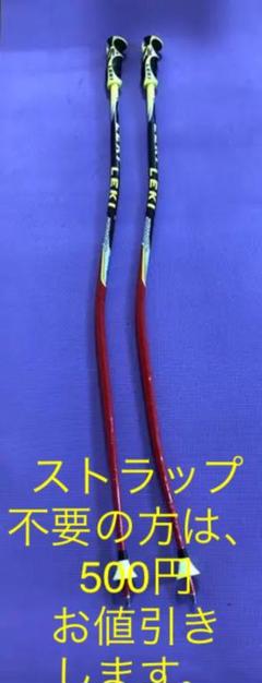 1LEKI WORLDCUP LITE GS レーシング用ストック 117cm