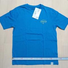 エレメント　Tシャツ