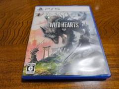 Amazon.com: Wild Hearts - PlayStation 5 : Electronic Arts