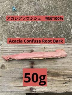 相思樹2本(100g)   ソウシジュ　乾燥木　アカシア　acacia  セージ Amazon | アカシア・コンフューサ（相思樹・ソウシジュ）(Acacia