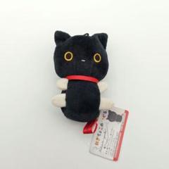 2025年最新】靴下にゃんこ ぬいぐるみの人気アイテム - メルカリ