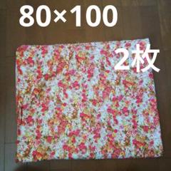 綿　80×100cm 2枚セット