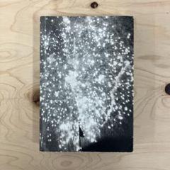 Firework Studies by Pierre Le Hors