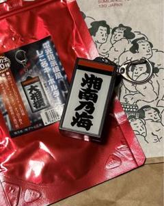 大相撲　電光掲示板風しこ名キーホルダー【湘南乃海】