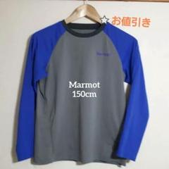 ⭐お値引き　Marmot　キッズ 長袖シャツ150