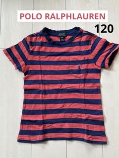 ポロ　ラルフローレンTシャツ ポロシャツ　半袖　キッズ　ボーダー　120
