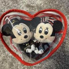 JAL ミッキー&ミニー