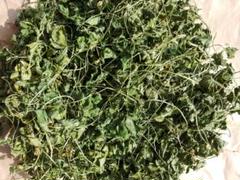 乾燥クローバー　約50g程度　無農薬　ペットおやつのサムネイル