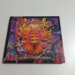 Shpongle Are you Shpongled? アナログレコード　未開封 Yahoo!オークション -「are you shpongled」の落札相場・落札価格