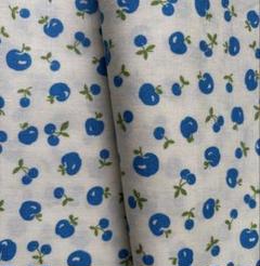 LECIEN Retro 30's 青りんご 生地