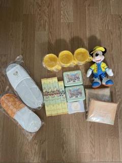 ディズニーバケーションパッケージ　セット