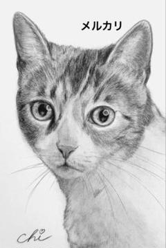 絵 猫【ねこがすき】原画 手描き オリジナル イラスト 猫❤️ ネコ ねこ 原画 鉛筆画 絵画 手描き イラスト ハガキ