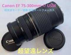 ◇超望遠&高速AF&手ブレ◇ Canon純正 75-300mm IS◇ Canon - ◇大迫力超望遠◇ Canon純正 75-300mm II型 超望遠