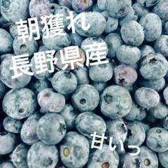 長野県産 ブルーベリー 生ブルーベリー 箱込み約400g #uのサムネイル