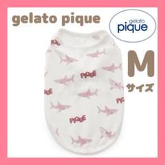 GELATO PIQUE クマ柄 犬服 Mサイズ gelato pique 犬 服 「CAT＆DOG」「接触冷感」シロクマ柄COOLING