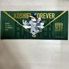 【未開封】甲子園 100周年記念 タオル 阪神甲子園球場100周年記念 第106回 全国高校野球選手権大会
