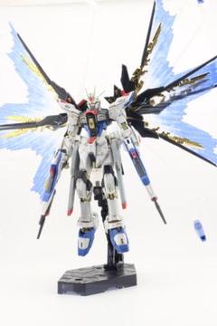 RG ストライクフリーダム　塗装済み　完成品　光の翼　のセット Amazon | 機動戦士ガンダムSEED Destiny RG 1/144 ストライク