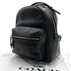 2025年最新】coach ターンロック リュックの人気アイテム - メルカリ