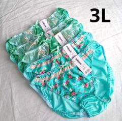 【3L5枚】 レディースショーツ XXL まとめ売り パンツ(H310)のサムネイル