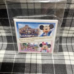 【美品】ディズニーシー ストーリーペーパー（非売品） ディズニーシー ストーリーペーパー（非売品）