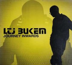 LTJ Bukem – Horizons【12inch】新品未使用 2025年最新】Yahoo!オークション -ltj bukemの中古品・新品・未