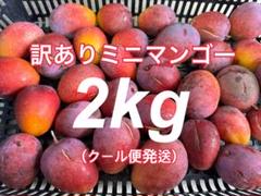 訳あり ミニマンゴー 2キロ (クール便発送) - メルカリ
