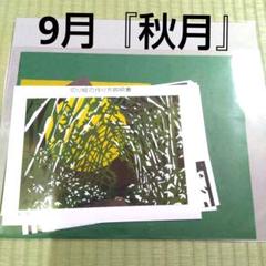 辰巳雅章切り絵で綴る寓話の世界手作りキットB