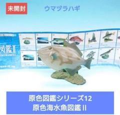 未開封【ユージン】原色図鑑シリーズ12 原色海水魚図鑑Ⅱ