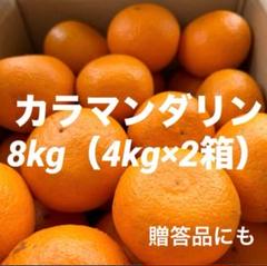 ⑴8kg（4kg×二箱）カラマンダリン 柑橘　香川県産　贈答品にも カラマンダリン 柑橘 贈答品にも 8kg （4kg×2箱）香川県産